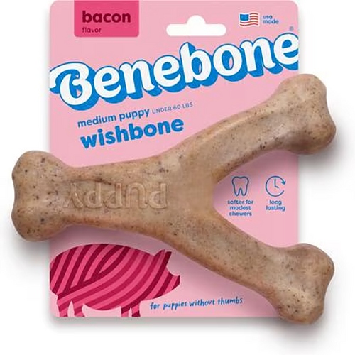 Benebone - Puppy Wishbone - Bacon Flavor