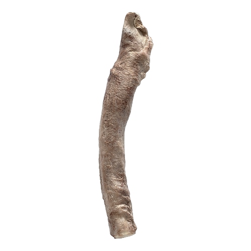 New! Bones & Co - Freeze-Dried Raw Bully Stick