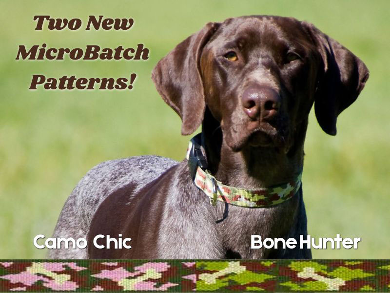 Shop Lupine Collars & Harnesses For Dogs