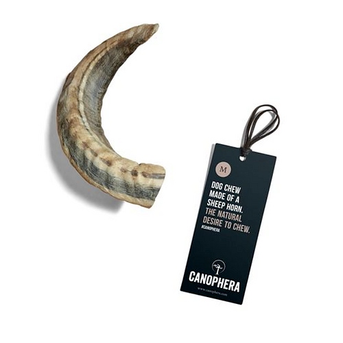 Canophera - Sheep Horn