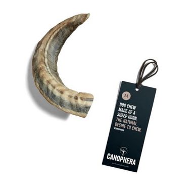 Canophera - Sheep Horn