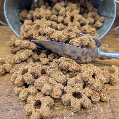 K9 Granola - Pumpkin Crunchers - Cheese n' Bacon