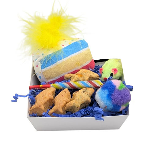 New! Cat Celebration Box!
