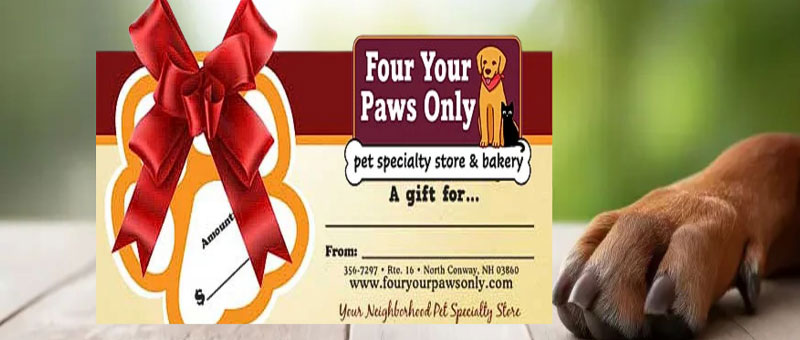 Shop Gift Certificates