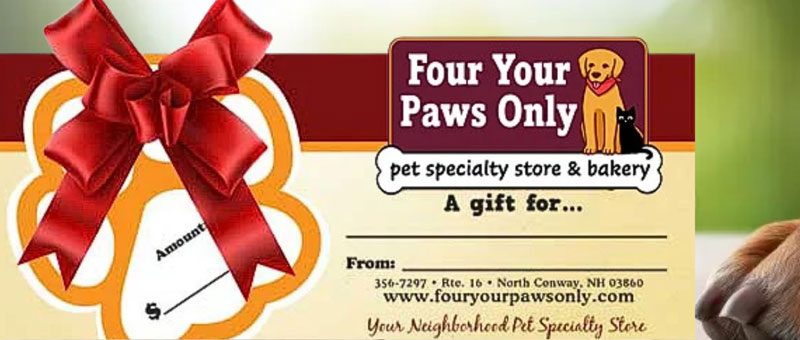 Shop Gift Certificates