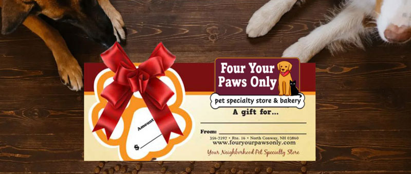 Shop Gift Certificates