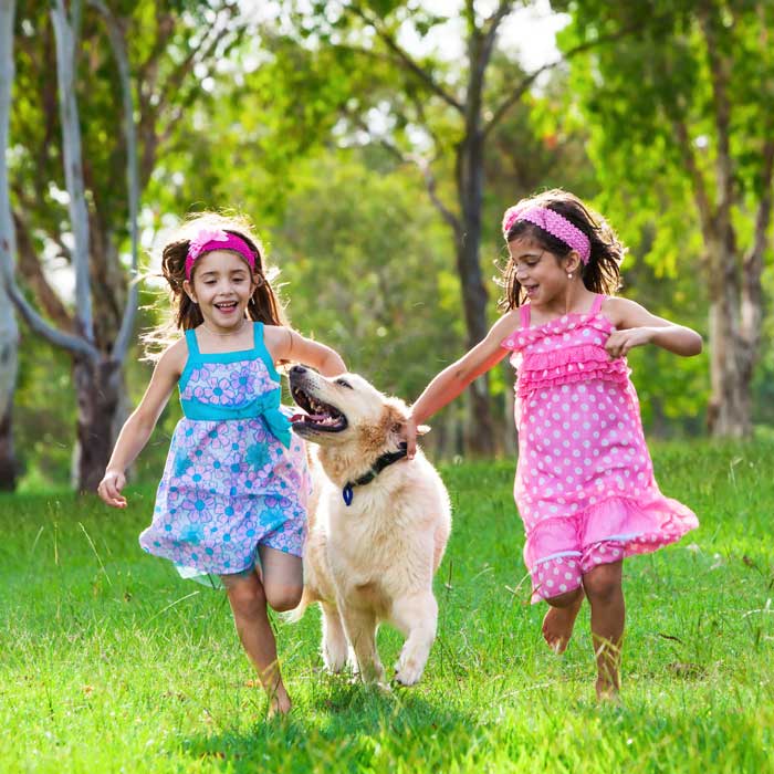 Shop Gifts for Pet Lovers