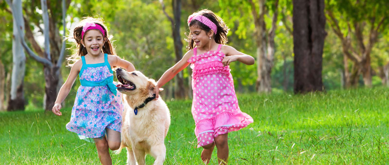 Shop Gifts for Pet Lovers