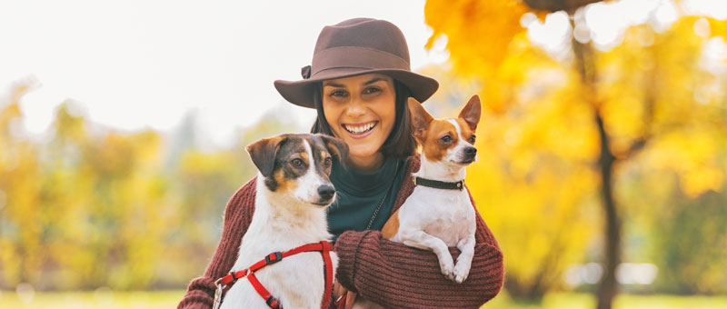 Shop Gifts for Pet Lovers