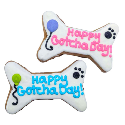 Happy Gotcha Day Bones