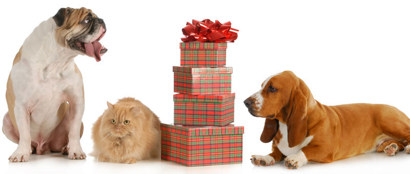 Shop Holiday Gifts for Pet Lovers