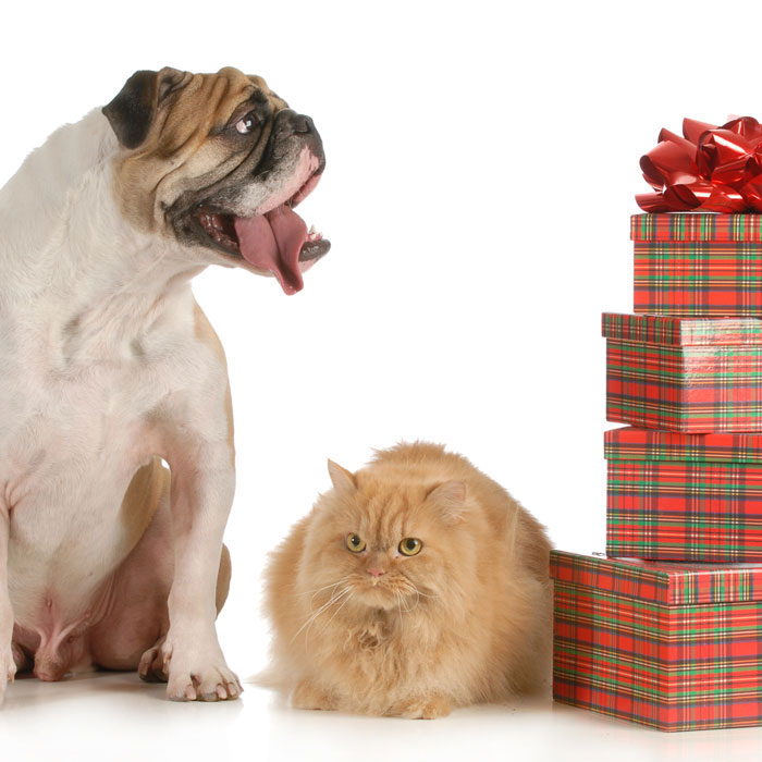 Shop Holiday Gifts for Pet Lovers