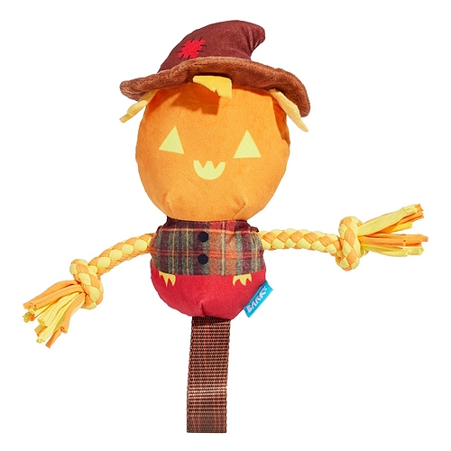 BARK - Jack-Crow-Lantern