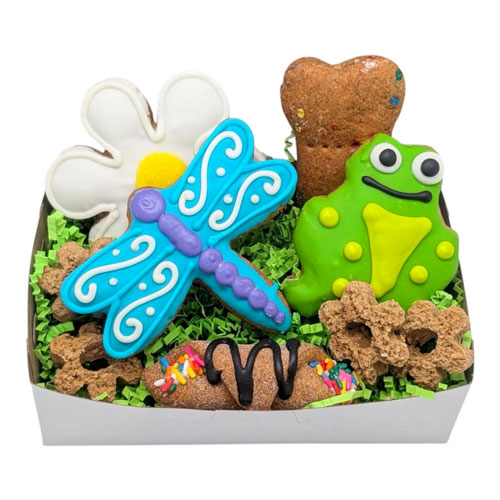 NEW! June Sampler