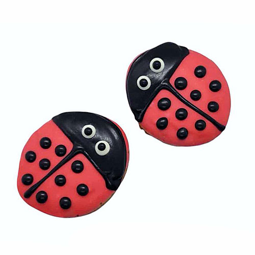 Spring Ladybugs