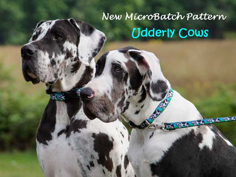 Shop Lupine Collars & Harnesses For Dogs