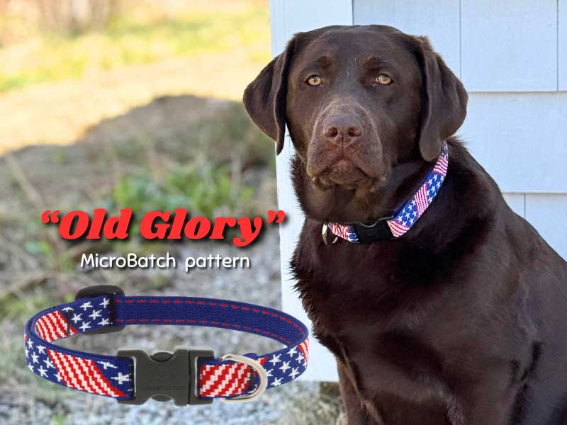 Shop Lupine Collars & Harnesses For Dogs