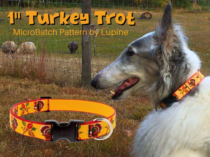 Shop Lupine Collars & Harnesses For Dogs