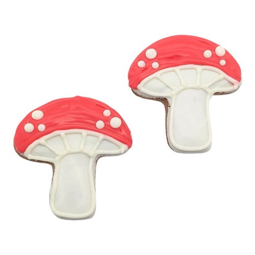 Magic Mushroom