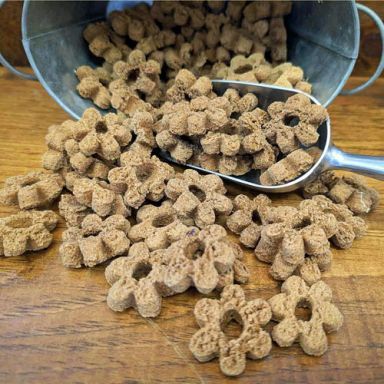 K9 Granola - Coconut Crunchers - Papaya & Mango