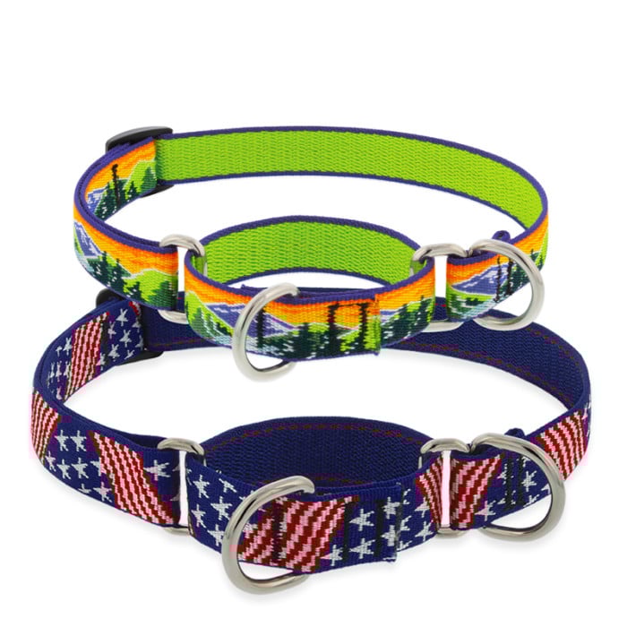 Microbatch Martingale Dog Collar for Training