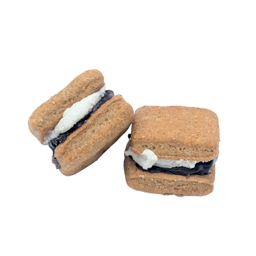 Mini Campfire S'mores