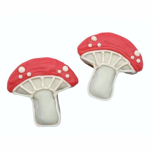 NEW! Magic Mushroom