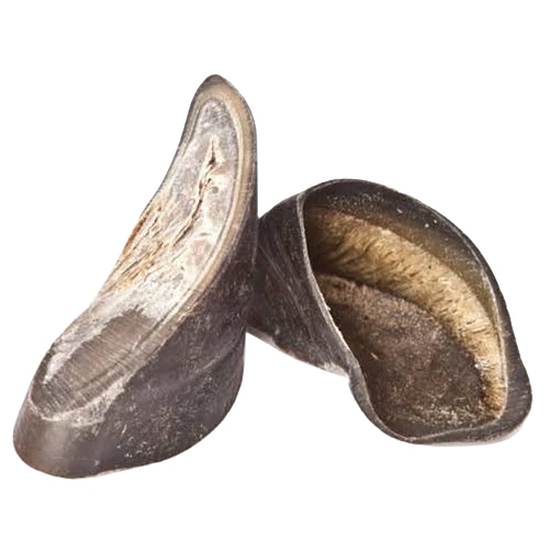 Nature's Own - Moo Shoes