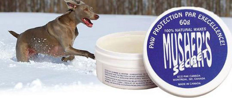 Shop Winter Paw Protection