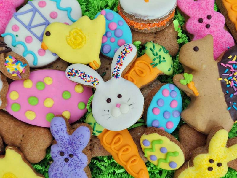 Shop Our Pet Bakery
