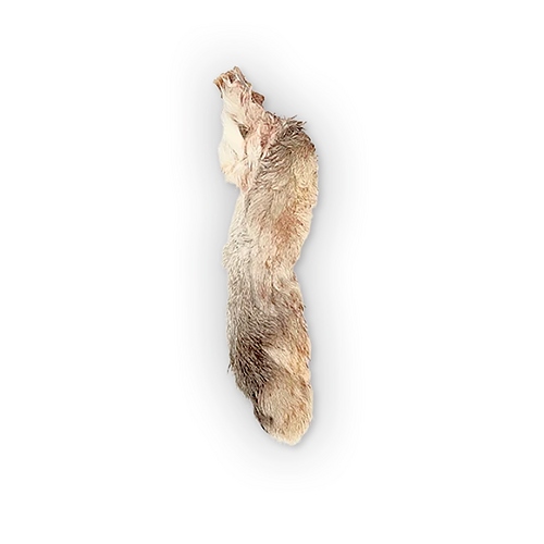 The Rabbit Tap - Rabbit Foot