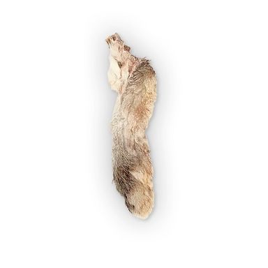 The Rabbit Tap - Rabbit Foot