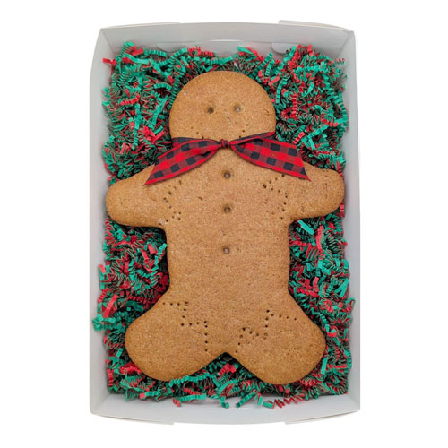 NEW! Mega 10" Gingerbread Man