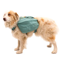 Outdoor Gear, Safety Gear & Travel