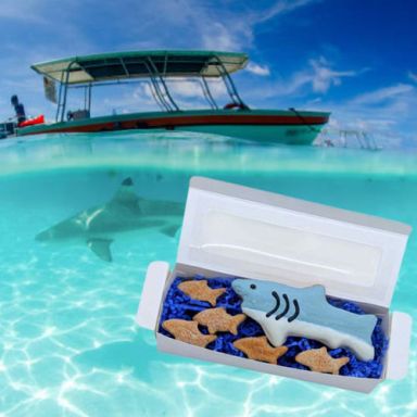 New! Snackle Box