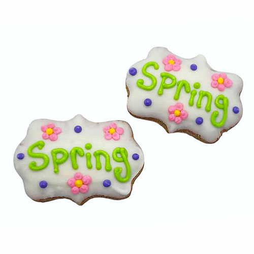 NEW! Spring Cookie