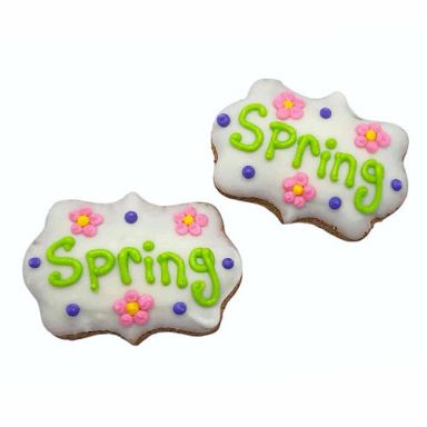 NEW! Spring Cookie
