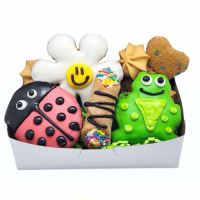 Seasonal Pet Cookies