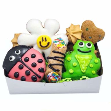 NEW! Spring Sampler