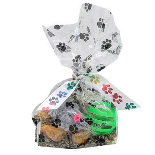 Catnip Surprise - Kitty Party in a Bag!