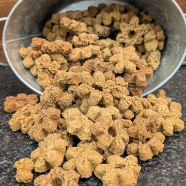 K9 Granola - Pumpkin Crunchers - Sweet Potato