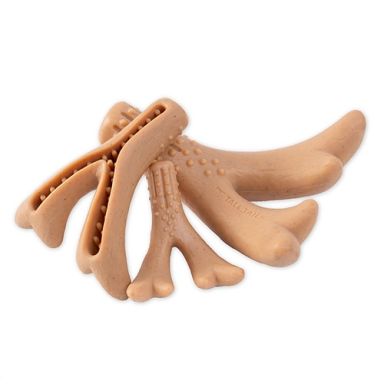 Tall Tails - Antler Chew