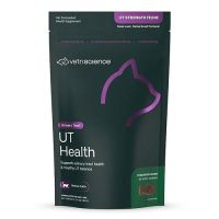 Cat Health & Wellness