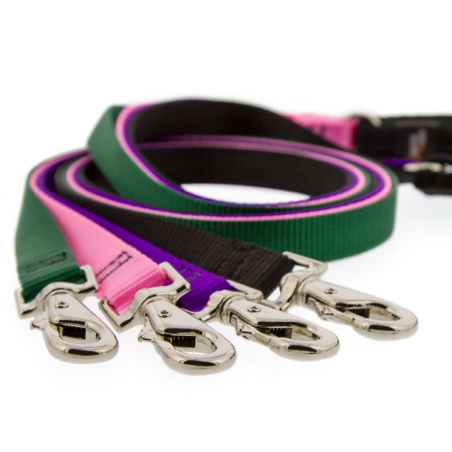 Lupine Collars, Leashes & Harnesses for Dogs Four Your Paws Only