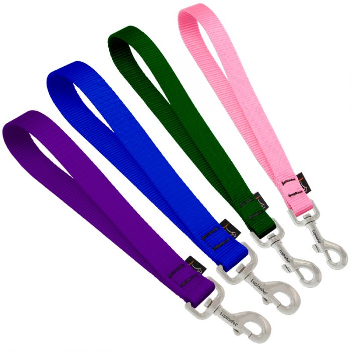 Basic Solids Training Tab