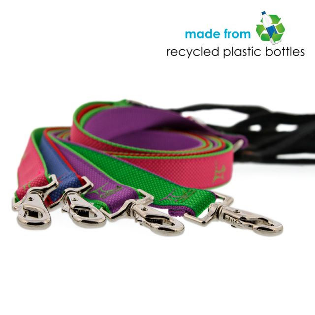 Club Padded Handle Dog Leash