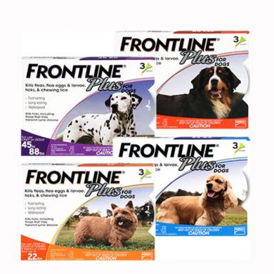 Frontline Plus Flea & Tick for Dogs