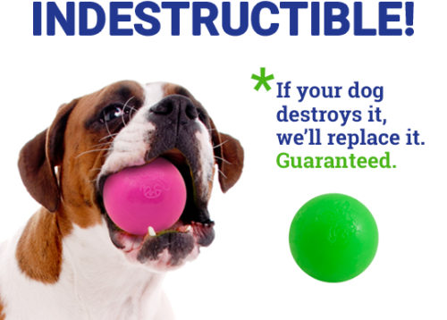 indestructible dog ball toys