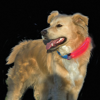 Nite Ize - Nite Dawg® LED Collar Cover - Popular Favorite! - 20% Off