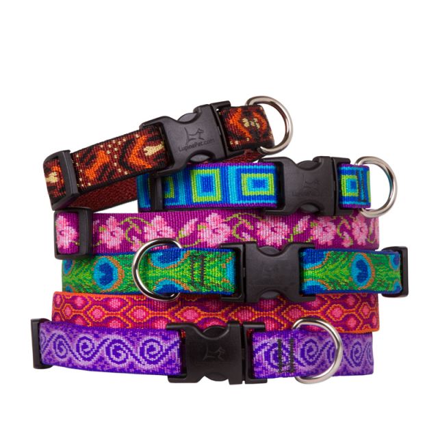 Lupine Dog Collars & More Four Your Paws Only